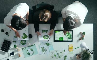 中国企业如何理解西方商业环境？