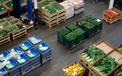 如何在欧洲寻找可靠的食品进口商？中国企业的实操指南